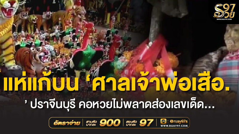 แห่แก้บน ‘ศาลเจ้าพ่อเสือ’ ปราจีนบุรี คอหวยไม่พลาดส่องเลขเด็ด…